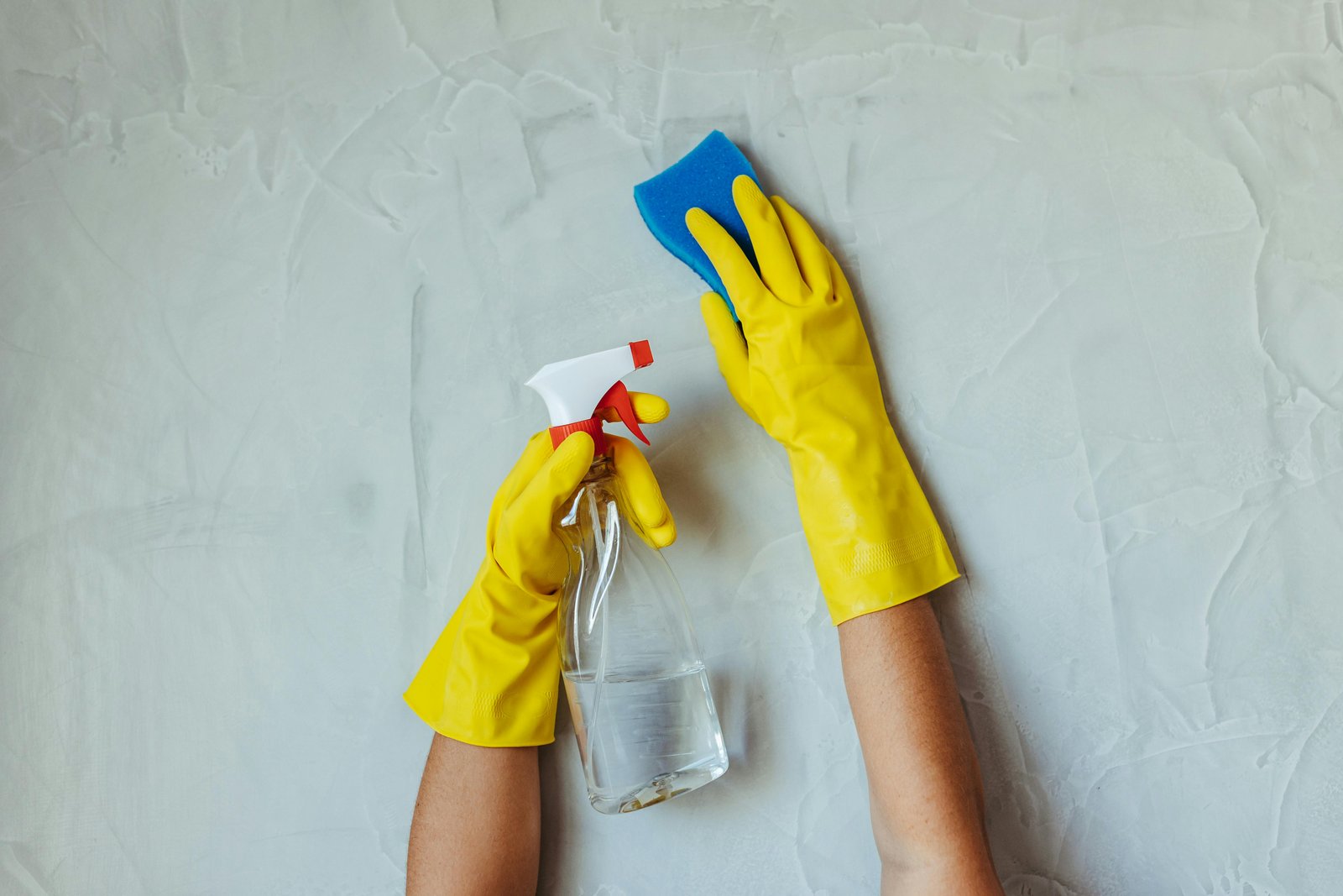 Professional Cleaning Services